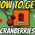Cranberry Grow A Garden roblox