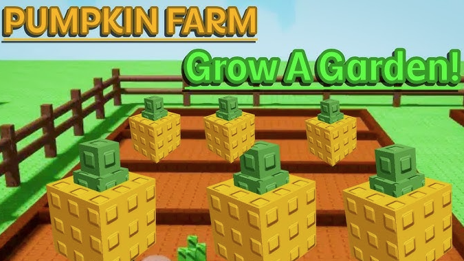 Pumpkin Grow a Garden