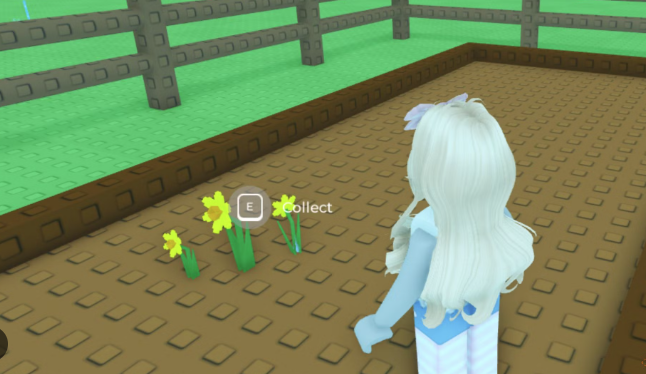 Daffodil Grow A Garden