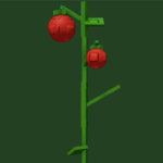 Tomato Grow a Garden